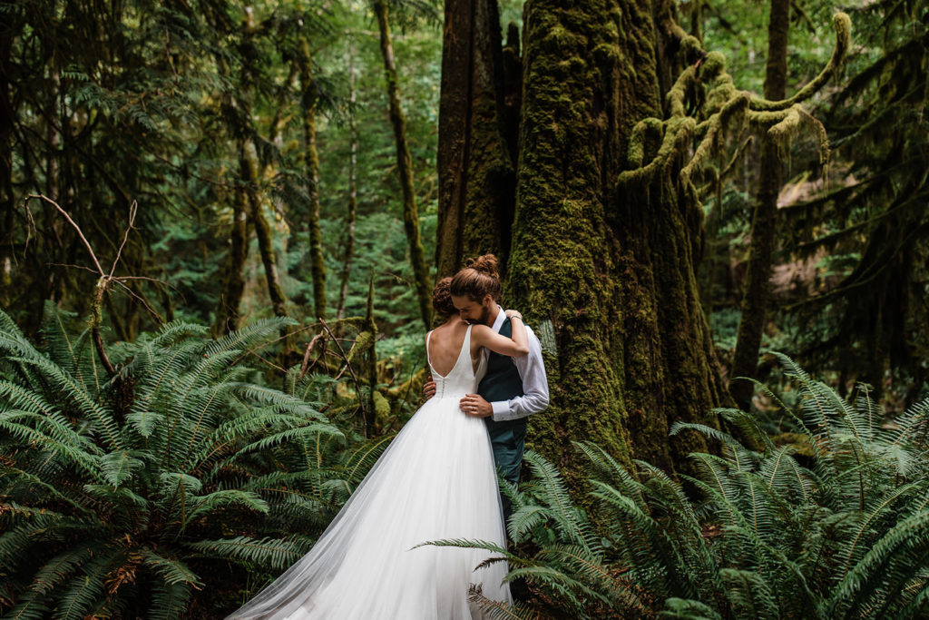 Bride and Groom Eloping in the Hoh Rainforest within Olympic National Park, Washington State