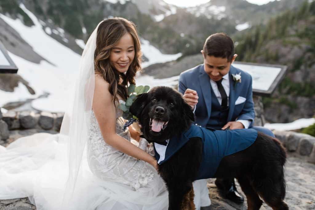 Married Couple with their dog after their fall elopement in Balgey Lakes