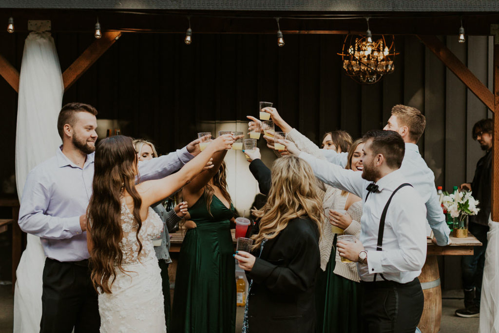 Wedding party toasting